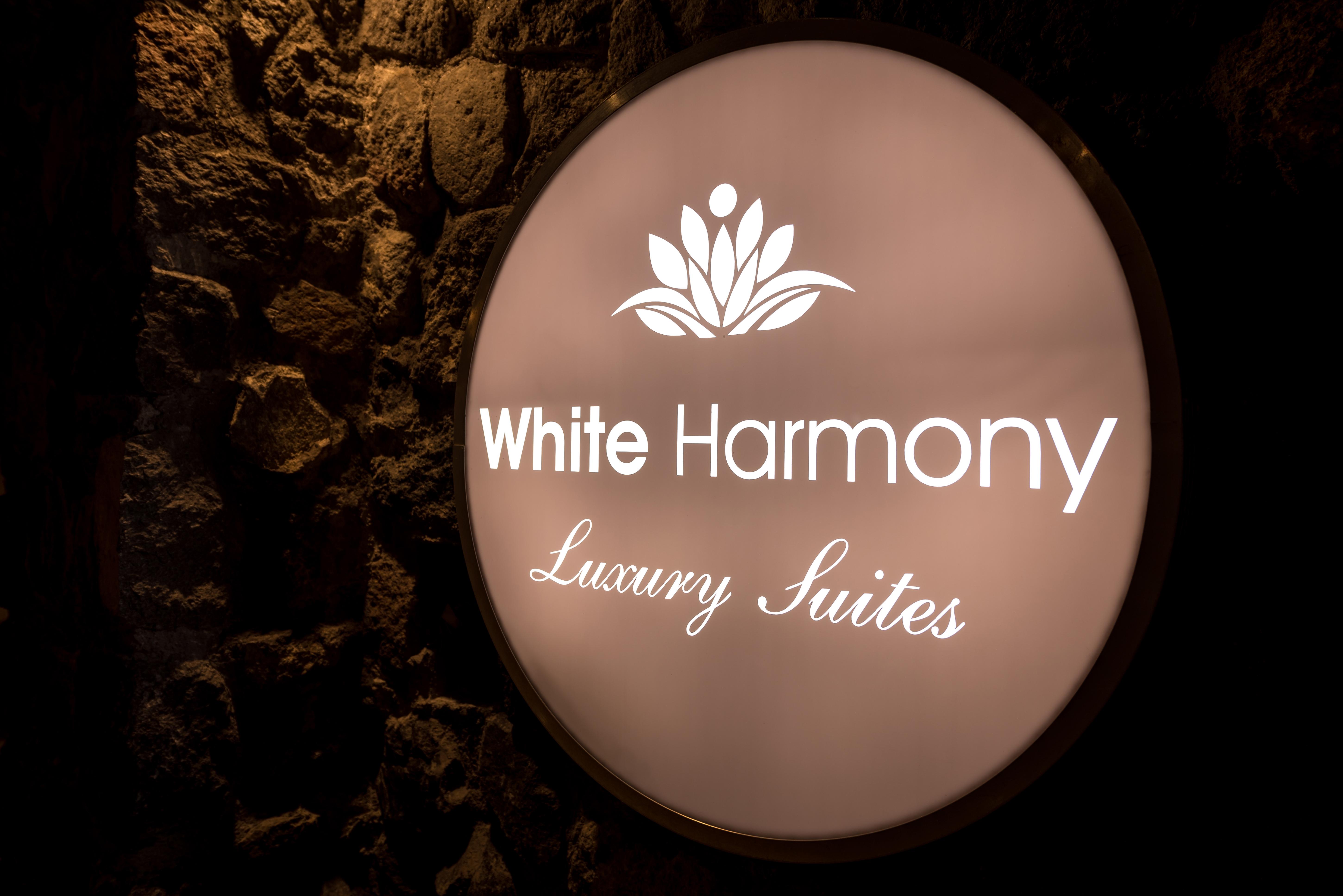 White Harmony Suites Megalochori  Bagian luar foto