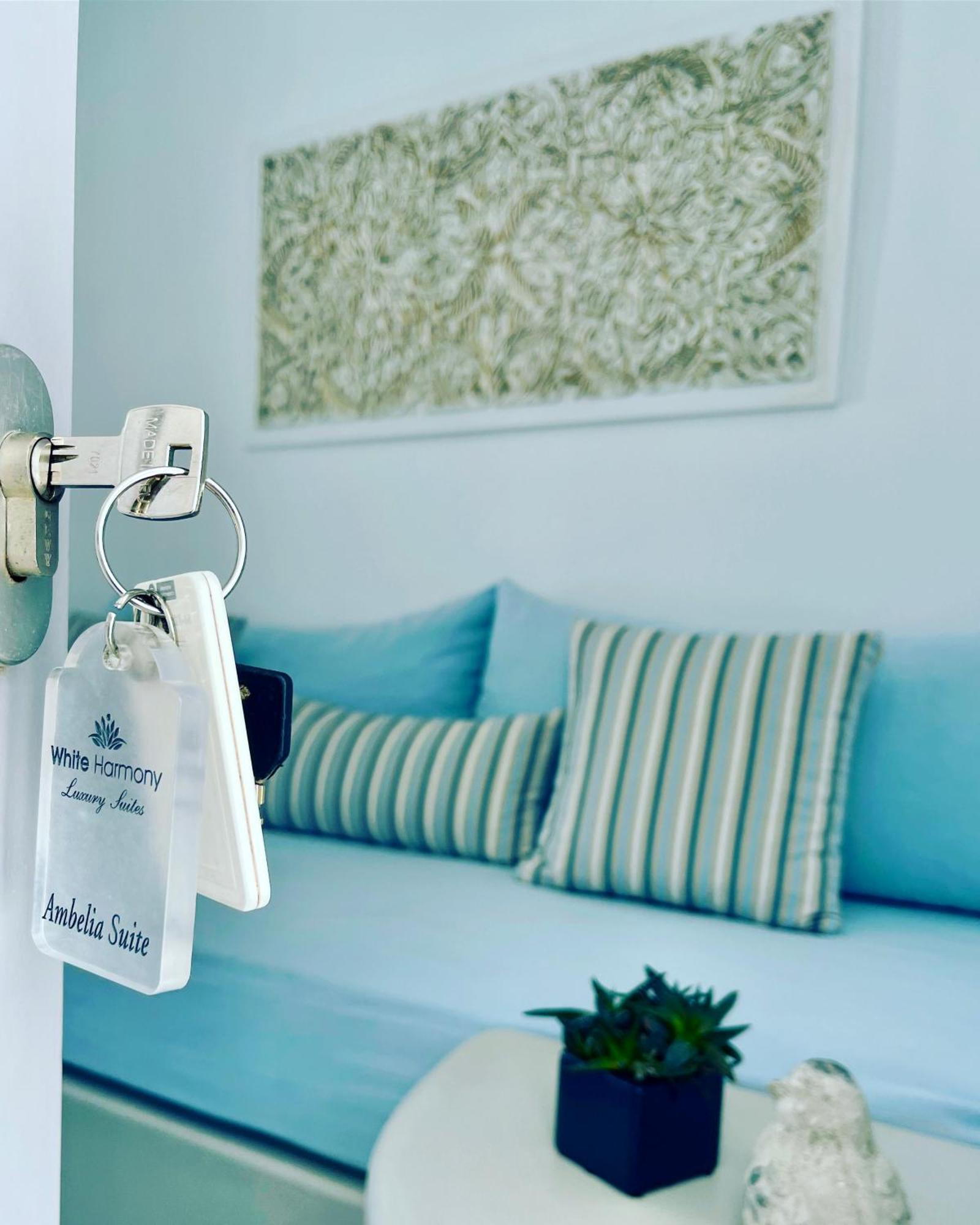 White Harmony Suites Megalochori  Bagian luar foto